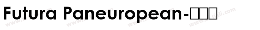 Futura Paneuropean字体转换